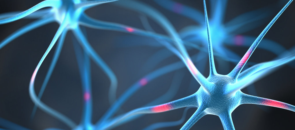 Neuraltherapie Neuraltherapie